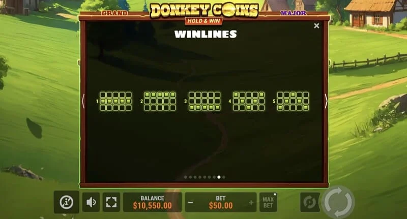Donkey Coins Hold & Win - gran ganancia en modo especial